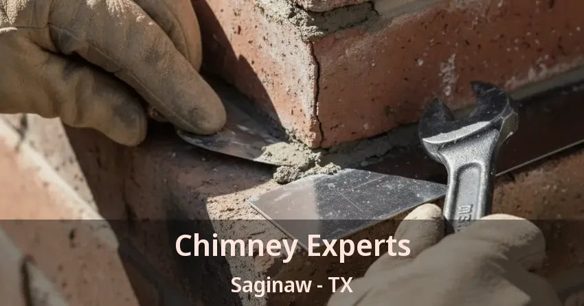 Chimney Experts Saginaw - TX