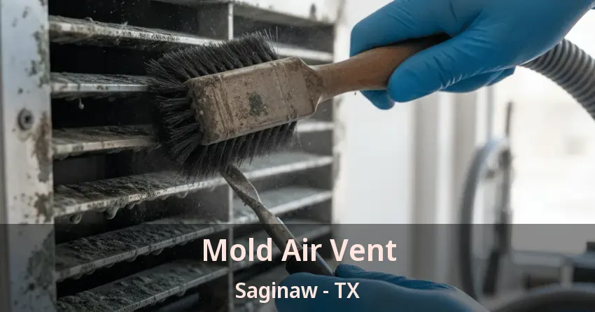Mold Air Vent Saginaw - TX
