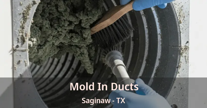 Mold In Ducts Saginaw - TX
