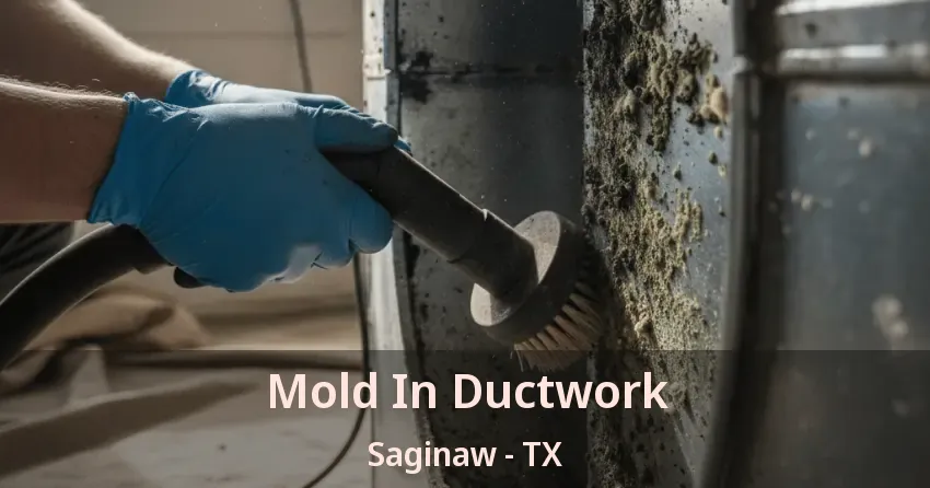 Mold In Ductwork Saginaw - TX